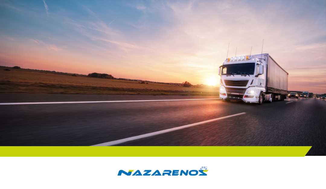 Cómo elegir un servicio de transporte frigorífico confiable